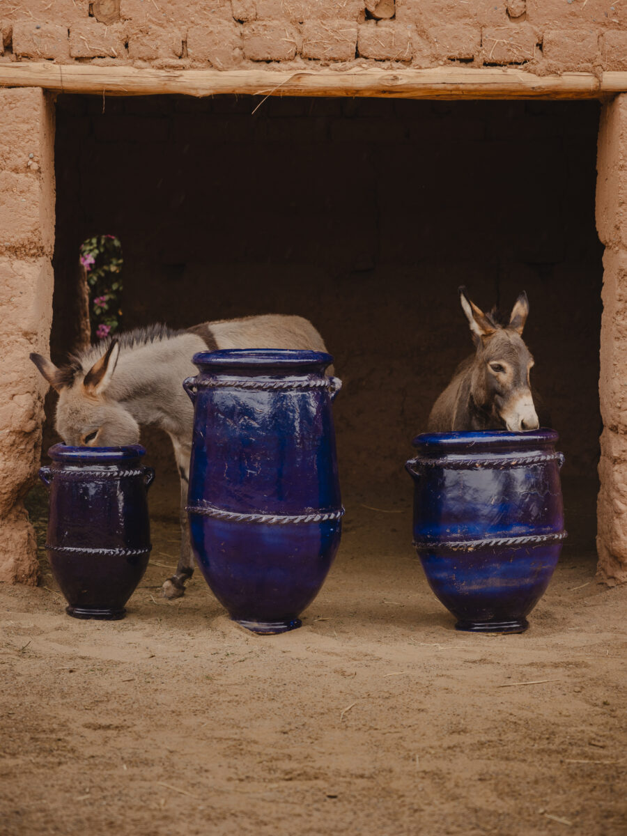 Jarre Tamegroute bleu